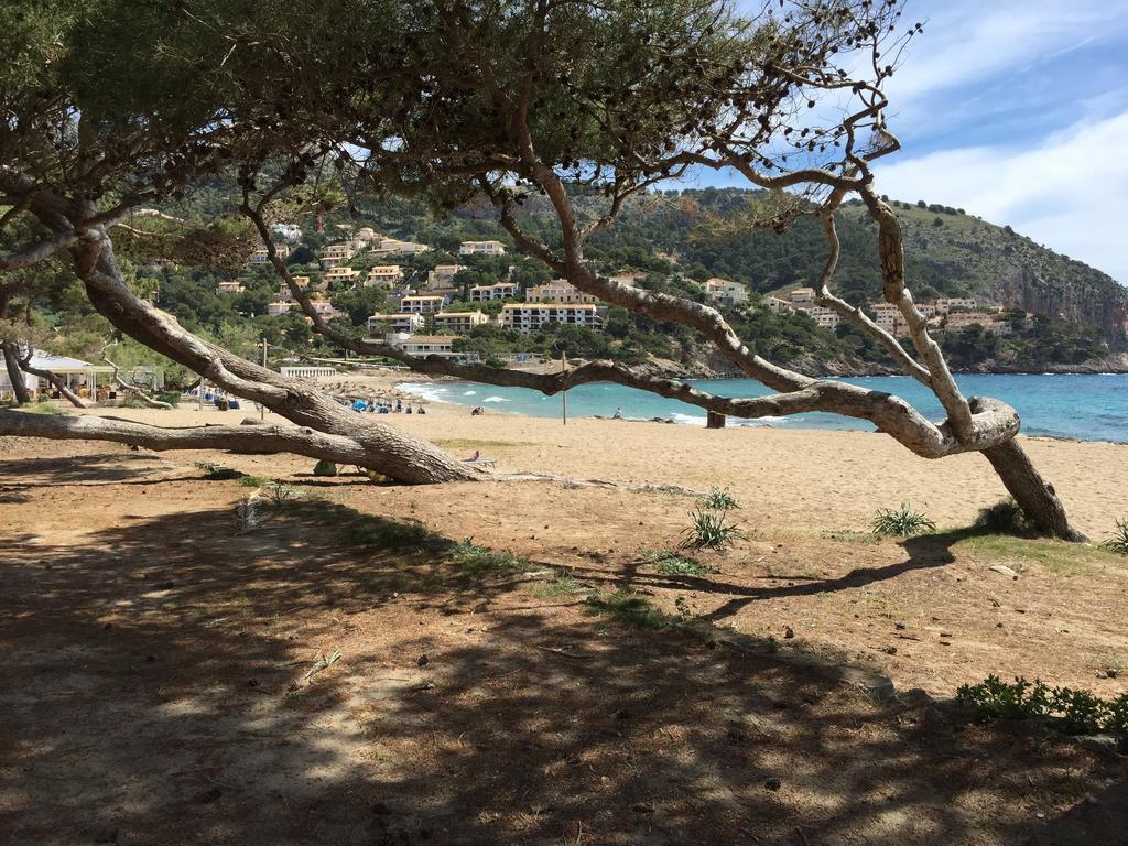 Canyamel Beach 部屋 写真